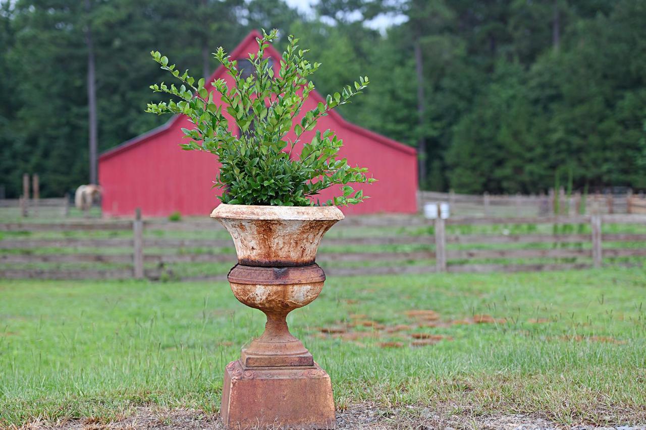 Coulter Farmstead Bed & Breakfast Washington Luaran gambar